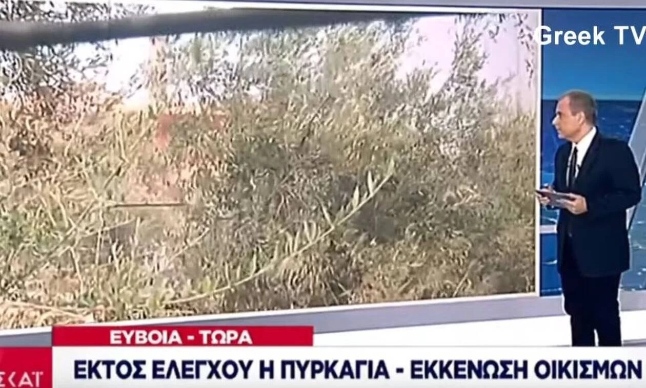 Φωτιά Εύβοια: «Ας καεί, ας καεί» – Ατάκα σοκ στον αέρα του ΣΚΑΪ